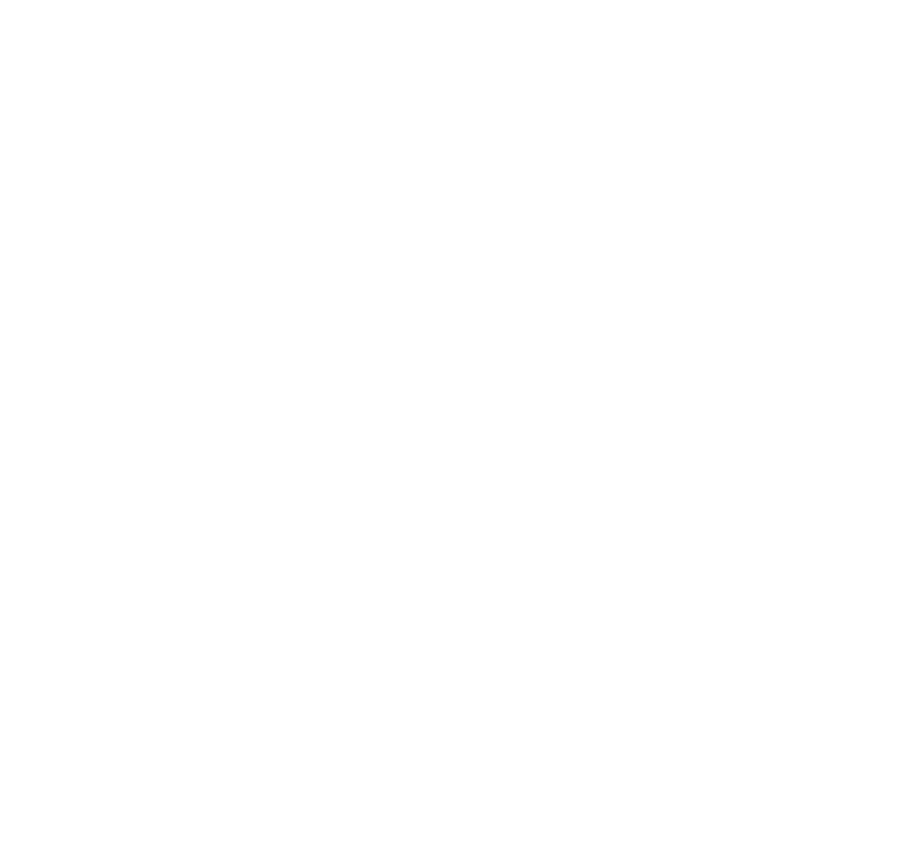 anamet logo